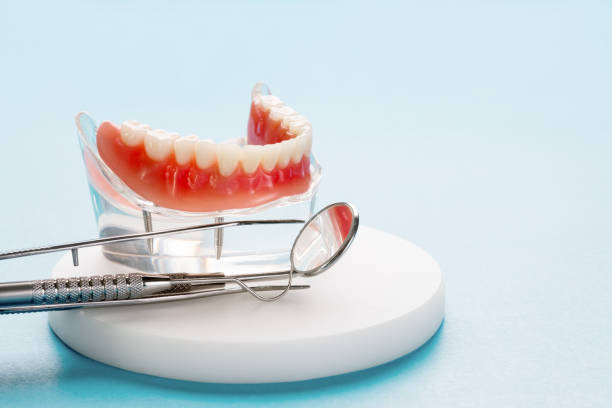 Professional Holistic Dental Care Services in Bull Mountain, OR